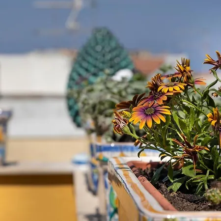 Saint George's House & Pachino