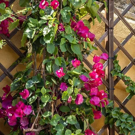 Saint George's House &